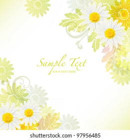 spring background with daisy