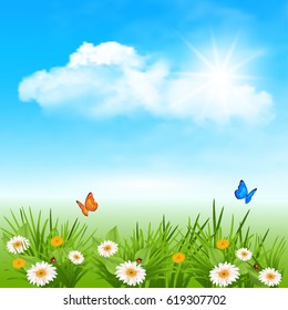 Spring background with daisy, butterfly and ladybug in the grass sun in the clouds on blue sky .Vector background