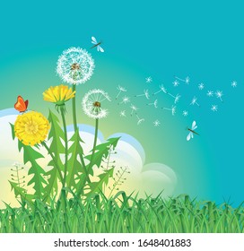 Spring background with dandelions in the field and butterflies.