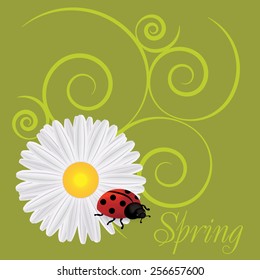 spring background with dandelions and ladybug - vector illustration