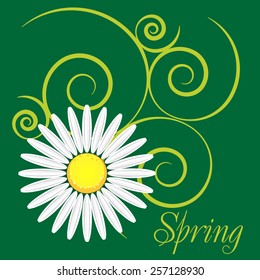 spring background with dandelions and ladybug - vector illustration