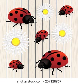 spring background with dandelions and ladybug - vector illustration