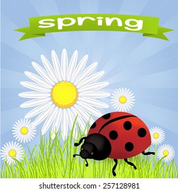 spring background with dandelions and ladybug - vector illustration