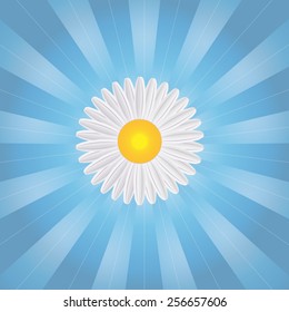 spring background with dandelions - vector illustration