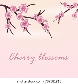 spring background decorated with cherry blossoms.cherry blossoms. Spring background. Nature. Blooming cherry. Vector Illustration .Eps 10.