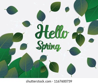 Spring Background, Design Element with green leaves and letters,