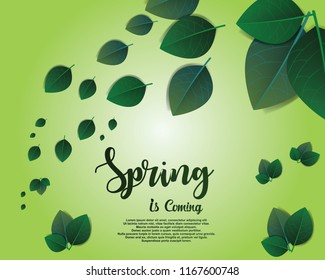Spring Background, Design Element with green leaves and letters,
