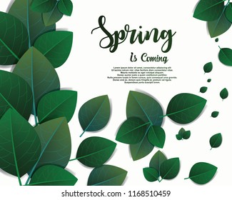 Spring Background, Design Element with green leaves and letters,