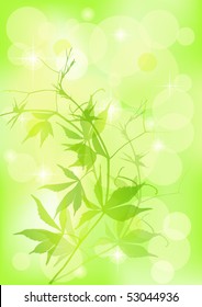 Spring  background. EPS 10. Green. Vector illustration.