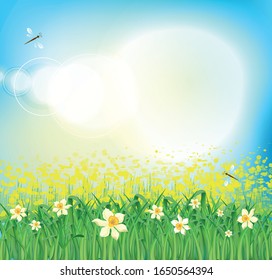 Spring background. Field with daffodils and dragonflies.