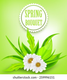 spring background floral bouquet