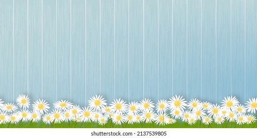 Spring background with Flower grass field on wood wall panel,Vector illustration banner backdrop of Summer nature with chamomiles flowers on blue wooden fence.