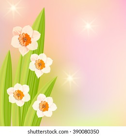 Spring background with flower on pink background. Daffodil and green leaves. Floral design template. Place for your text message.