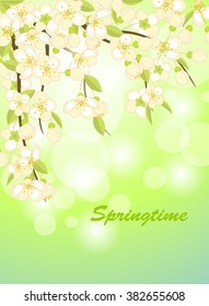 Spring background with flowering branches