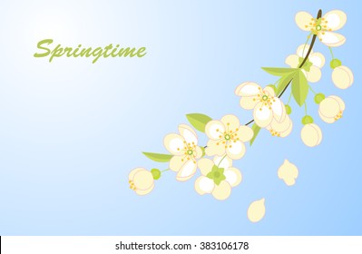 Spring background with flowering branches