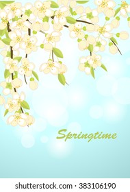 Spring background with flowering branches