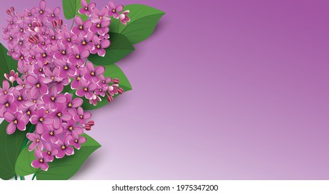 Spring background with flowering branches of lilacs and place for text. Vector illustration. 
