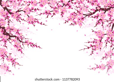 Spring background with flowering tree branches, pink flowers and flying petals on white. Border made with plum blossom. Floral decoration for wedding, Chinese New Year, springtime celebrations. 