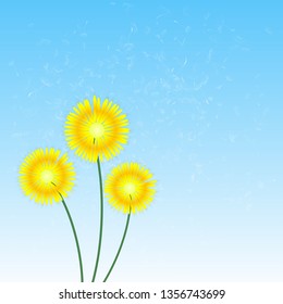 Spring Background with Flowers