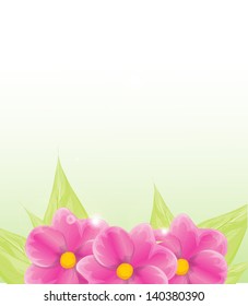 Spring background with flowers