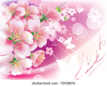 Spring background. Flowers against the sky