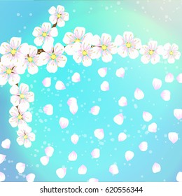 spring background of flowers of apricot with the falling petals