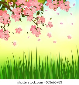 Spring background with flowers, cherry blossom and grass. Vector illustration green meadow and garden