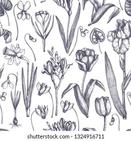 Spring background with flowers drawings. Tulips, crocus, freesia, iris, narcissus, snowdrops, cyclamen. Floral seamless pattern. Hand drawn forest and garden plants illustration. Vintage design. 