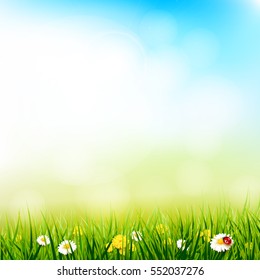 Spring background with flowers in the grass