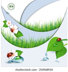 Spring background with flowers, grass and a ladybug. Vector.