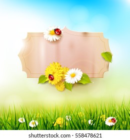 Spring background with flowers in the grass and paper label with place for your text