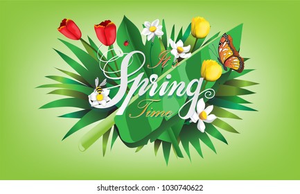 The spring background with flowers and insect. (vector)