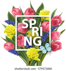 Spring background with with spring flowers, tulips, daffodils, Muscari. Vector template