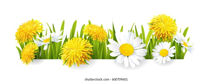 Spring background with flowers. Vector illustration