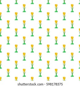 Spring background with flowers yellow spring crocus in a green grass in a row side by side and one below the other on a white background 