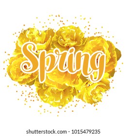 Spring background with fluffy yellow tulips. Beautiful realistic flowers and buds.