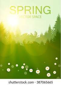 Spring Background. Forest with Shining Sun & Flowers. Travel Background. Vector illustration