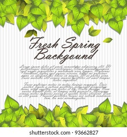 Spring background: fresh green leaves
