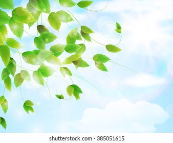 Spring background with fresh green leaves.Vector