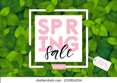 Spring background with fresh green realistic leaves. Clean 3d eco brand banner concept. Vector illustration