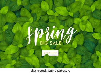 Spring background with fresh green realistic leaves. Clean 3d eco brand vertical banner concept for stories. Vector illustration.