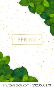 Spring background with fresh green realistic leaves. Clean 3d eco brand vertical banner concept for stories. Vector illustration.