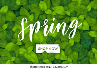 Spring Background With Fresh Green Realistic Leaves. Clean 3d Eco Brand Banner Concept. Vector Illustration