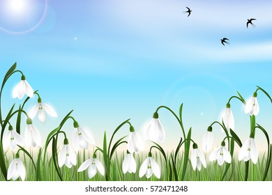 Spring background with galanthus flowers, green grass, swallows and blue sky. Can be used for Easter, birthday, wedding, anniversary, save date, 8 march, woman's day. Seasonal sales.