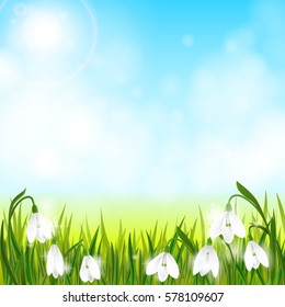 Spring background with galanthus snowdrop flower. Can be used for Easter, birthday, wedding, anniversary, 8 march, woman's day. Seasonal sales.Vector EPS10