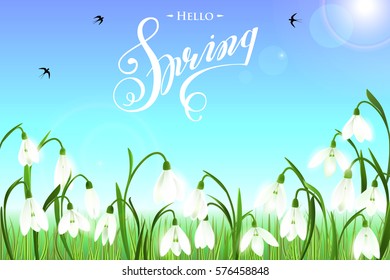 Spring background with galanthus snowdrop flowers, green grass, swallows, lettering Spring and blue sky. Can be used for Easter, birthday, wedding, anniversary, 8 march, woman's day. Seasonal sales.