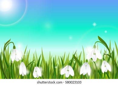 Spring background with galanthus snowdrop flowers, green grass, swallows and blue sky. Can be used for Easter, birthday, wedding, anniversary, 8 march, woman's day. Seasonal sales.