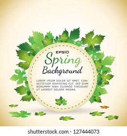 spring background with grape leafs