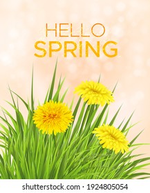 Fondo primaveral con hierba y dientes de león. Plantilla para tarjeta de invitación, banner, afiche con flores e inscripción Hola primavera. Ilustración del vector