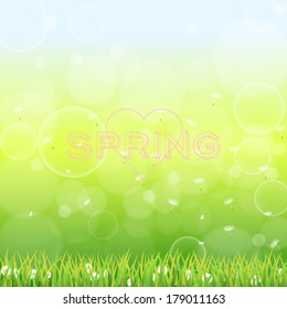 Spring background with grass and flowers
